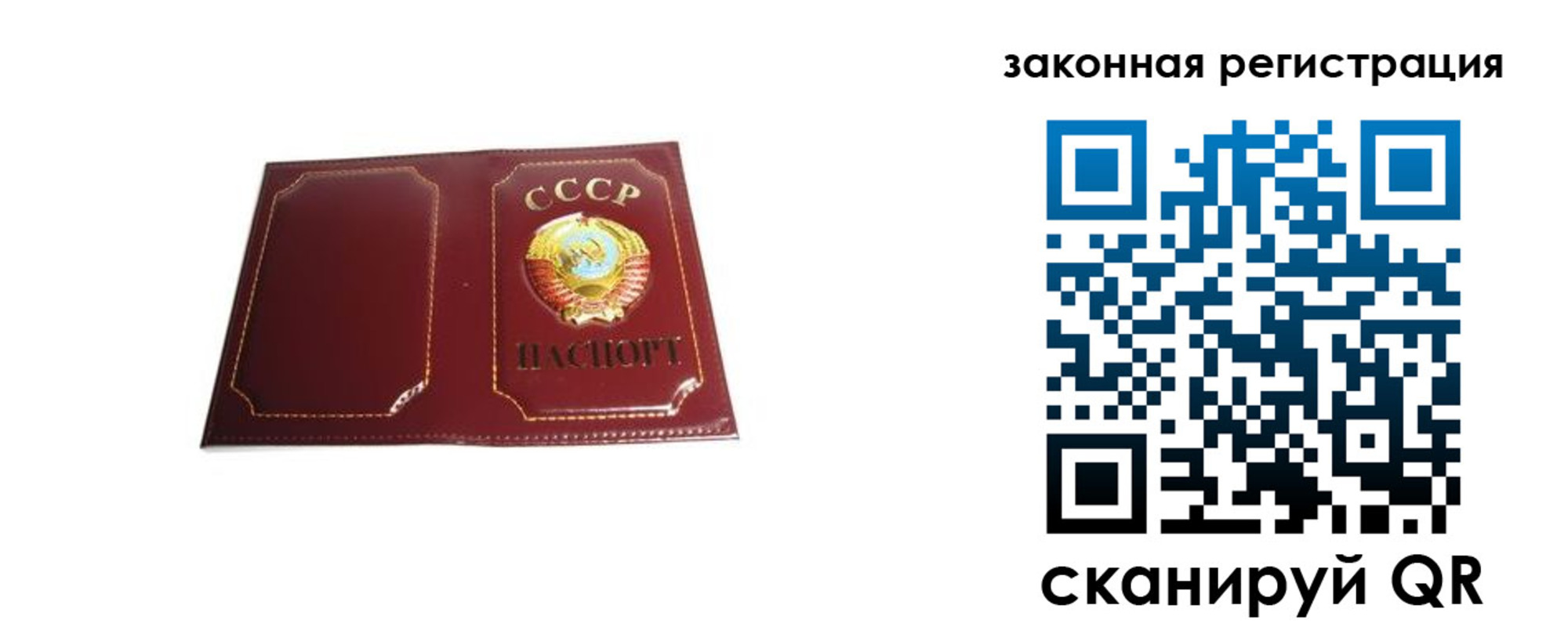 прописка поиск в Чкаловске